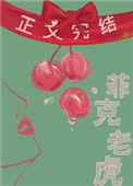 菲克老虎番外txt