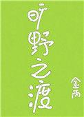 旷野之渡好看吗