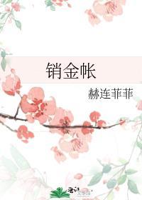 销金帐 赫连菲菲讲了什么