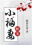 娇宠小福妻txt百度