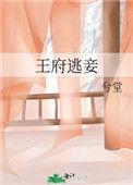 王府逃生记