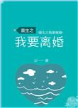重生之我要离婚苏婉最新章节更新内容