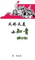 又娇又美小知青txt微盘