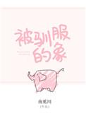 被驯服的象吉他谱c调简单版