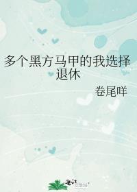 多个黑方马甲的我选择退休全本免费