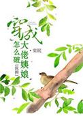 穿成大佬姨娘怎么破?