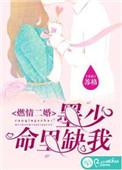 墨少闪婚秘爱