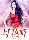 绝品上门女婿 莫野风
