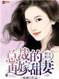 再婚甜妻总裁宠不休