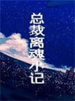 总裁离魂小记好看吗