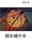 困在城中央 txt