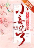 夫人跟老爷的小妾跑了txt微盘