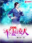 重生之军妻凌人 紫若非