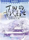 丁田的古代生活百度