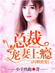 闪婚蜜爱总裁宠妻入骨