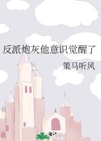 反派炮灰他意识觉醒了攻什么时候出场