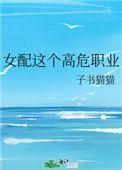 女配这个高危职业 txt