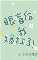 眼盲后我爆红了20