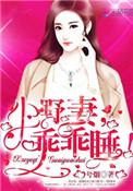 小野妻乖乖睡全文免费阅读无弹窗