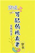 穿成男配的炮灰妻穿书