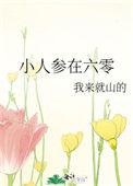 小人参在六零晋江