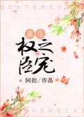 权臣之妻顶点