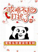攻略不起打扰了是什么意思