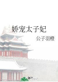 娇宠太子妃公子羽橙