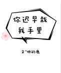 第三章你迟早是我的