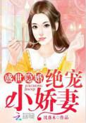 绝宠小妻子