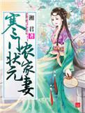 寒门状元农家妻评价