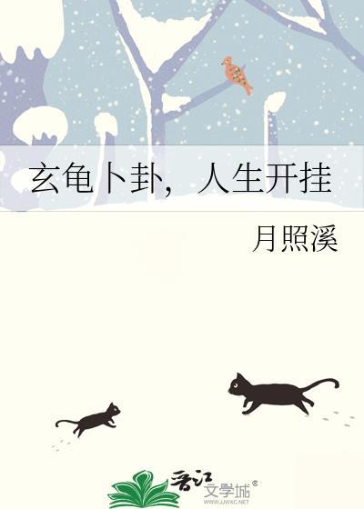 玄龟寓意好吗