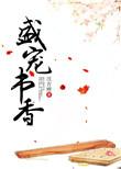 盛宠书香讲的什么