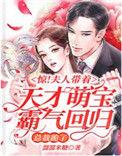 夫人她惊艳