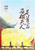 丞相夫人的