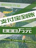 支付宝到账888万元全文全文