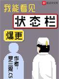 副本莽夫我能看见状态栏