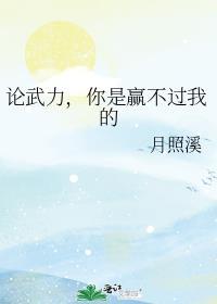 论武力