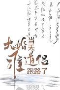 大婚当日被灭国全文免费阅读