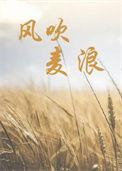 风吹麦浪叶一茜