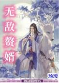 无敌赘婿by玚瑷笔趣阁