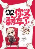 你又翻车了漫画