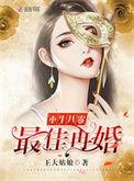 重生之最佳再婚TXT