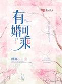 有婚可乘讲的什么