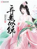 免费阅读弃妻似锦