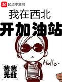 我在西北开加油站免费阅读笔趣