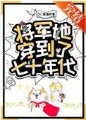 将军她穿到了七十年代大结局