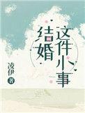 结婚这件小事 作者凌伊讲什么