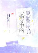 二婚现实文