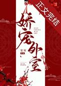 娇宠外室 鸾镜